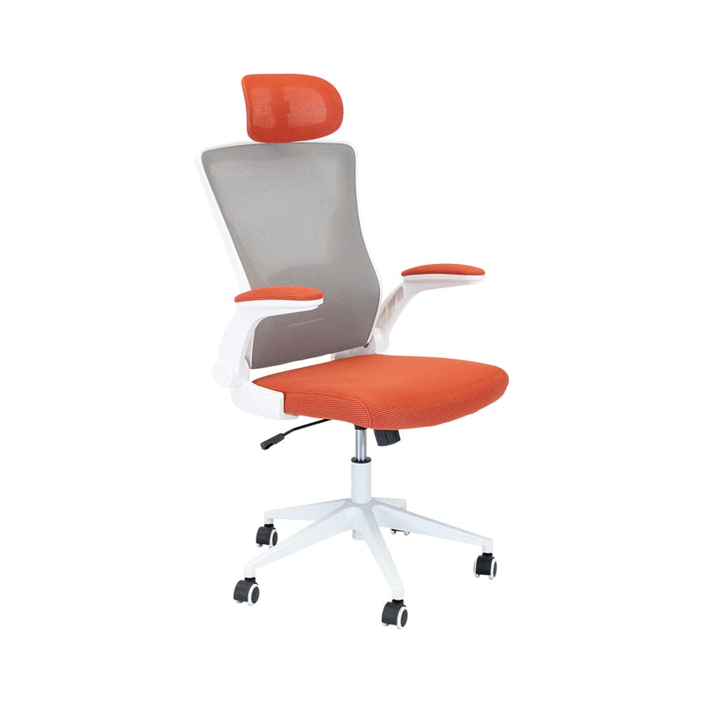 ASTI,Ergonomic Office Chair