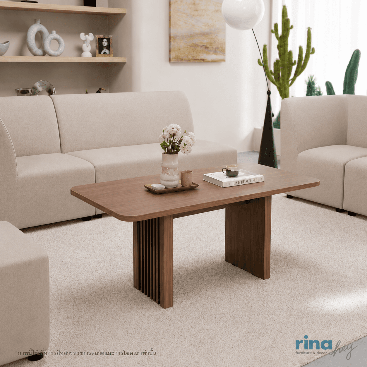 FENCY/100,Coffee Table-6